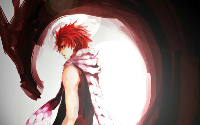 anime fairy tale natsu