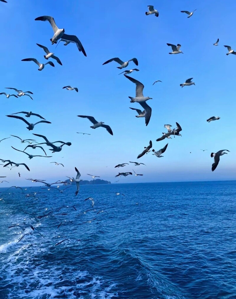 hình bầu trời chill