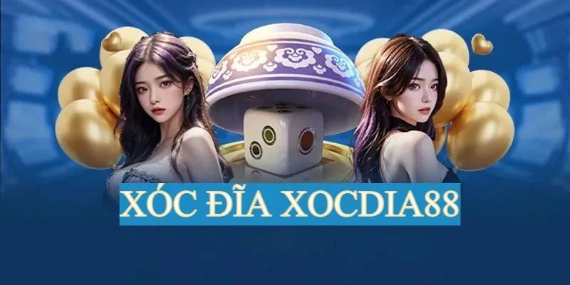 bia dang ky