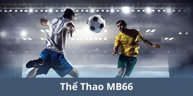 mb66