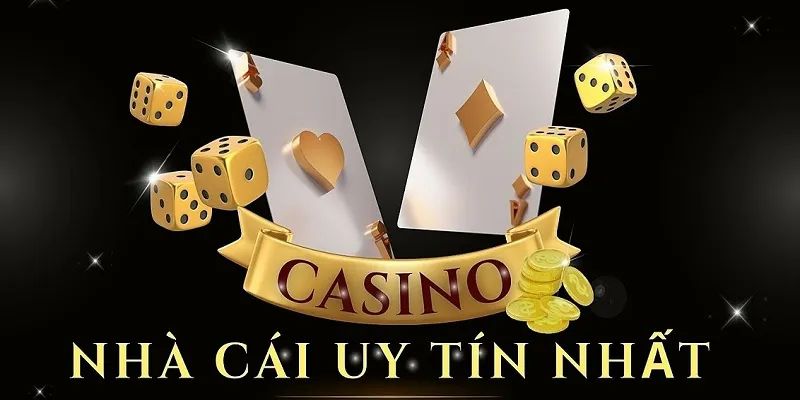 cac nha cai moi