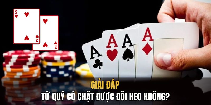 anh dai dien tu quy co chat duoc doi heo khong