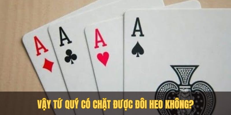 tra loi chi tiet cau hoi tu quy co chat duoc doi heo khong