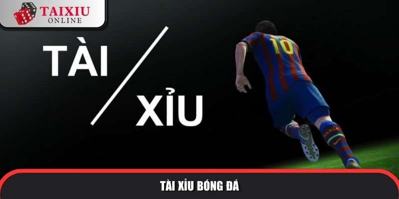 kham pha chan le bong da cuc chat