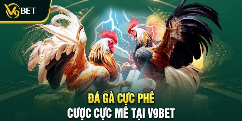 Da ga cuc phe cuoc cuc me tai v9bet