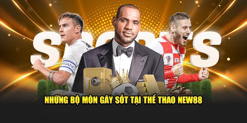 cac mon the thao pho bien tai new88 ma ban nen biet