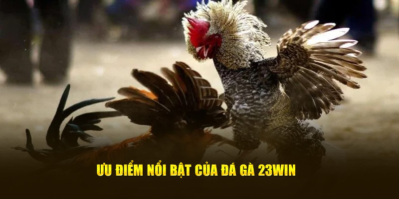 truong ga duoc to chuc chuyen nghiep va bai ban