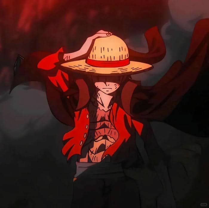 ảnh avatar luffy cute