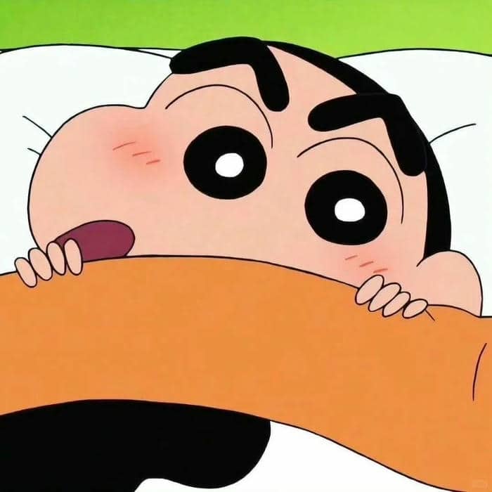ảnh avatar shin vô tri