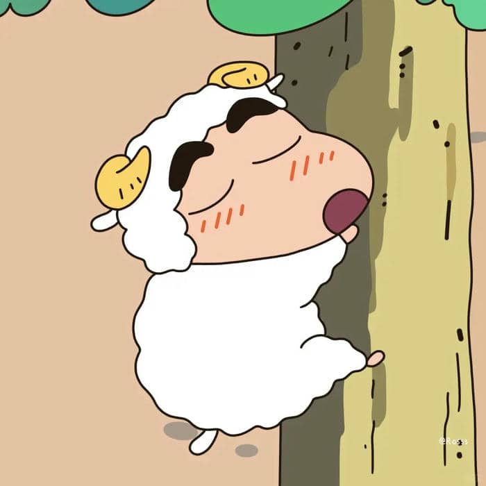 ảnh cặp cu shin