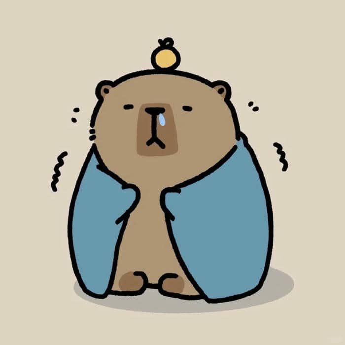 ảnh capybara avatar hài hước