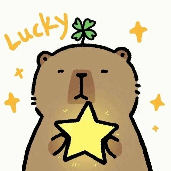 ảnh capybara avatar vô tri