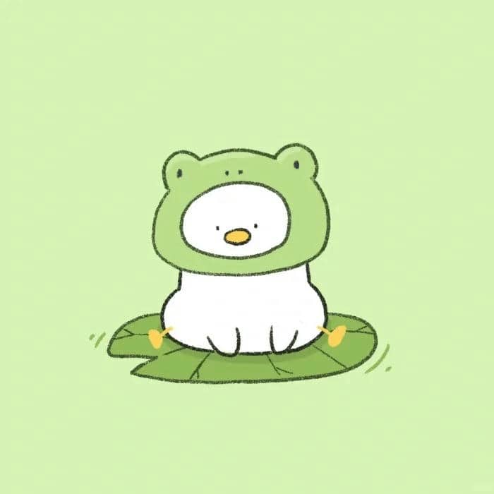 ảnh cute vịt
