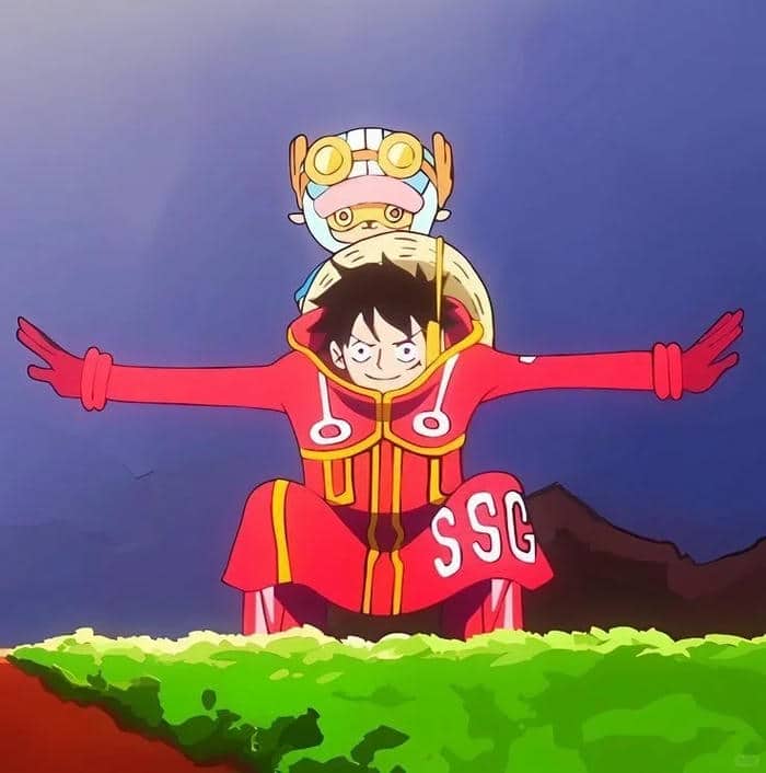 ảnh đại diện luffy