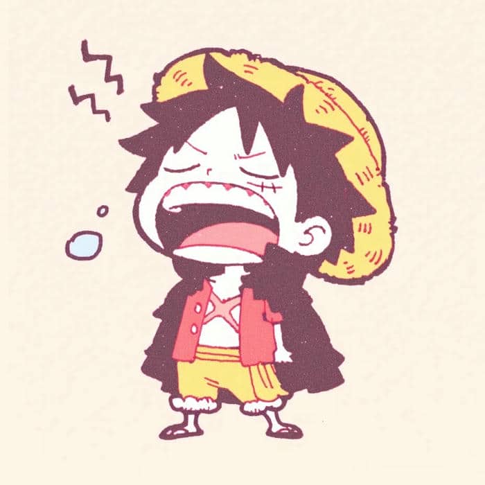 ảnh đại diện one piece