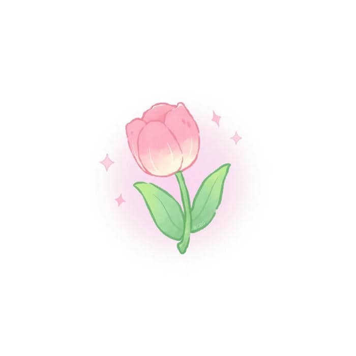 anh hoa tulip
