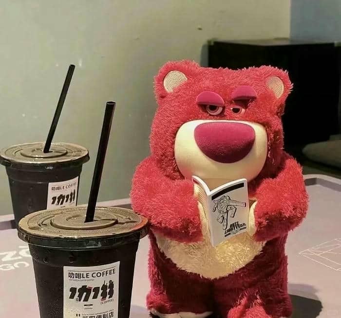 ảnh nền avatar gấu cute