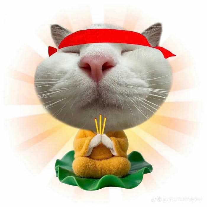 avatar bựa (27)
