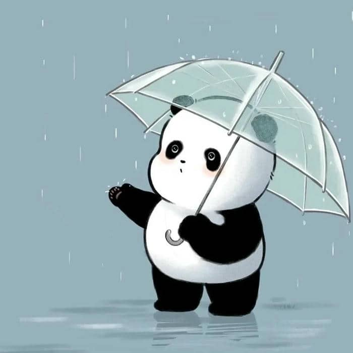 avatar gấu trúc (20)