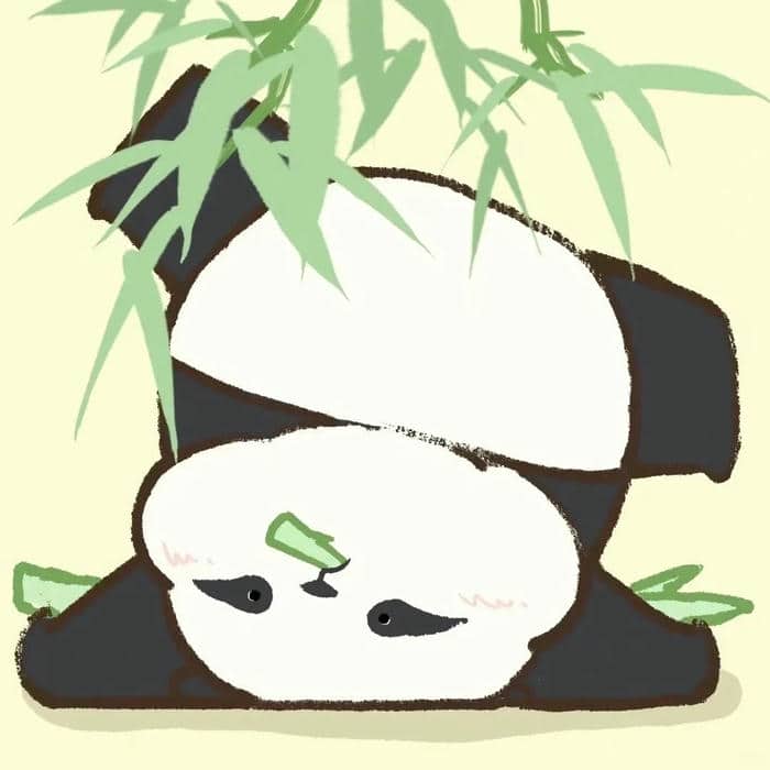 avatar gấu trúc (3)