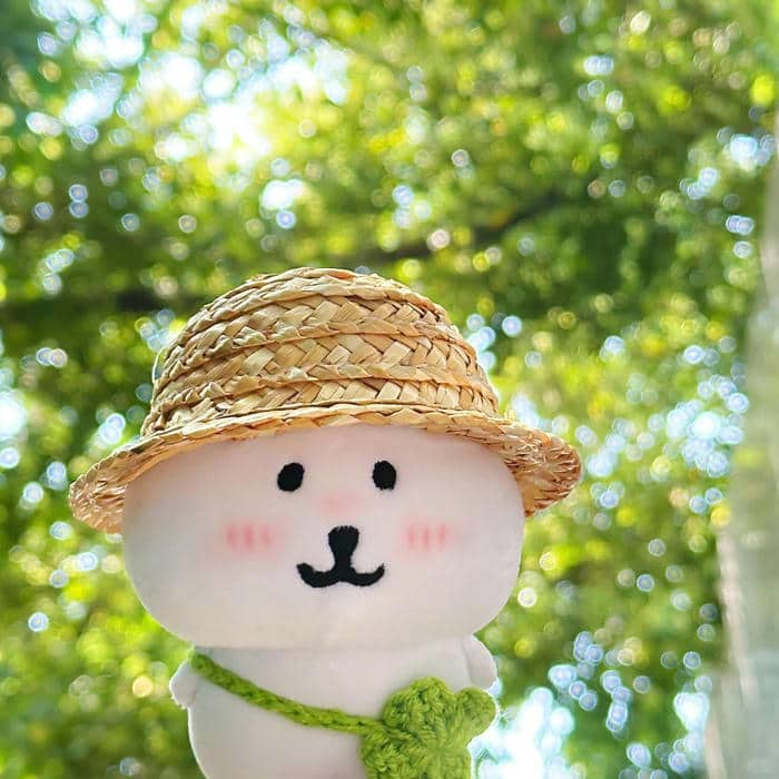 avatar gấu