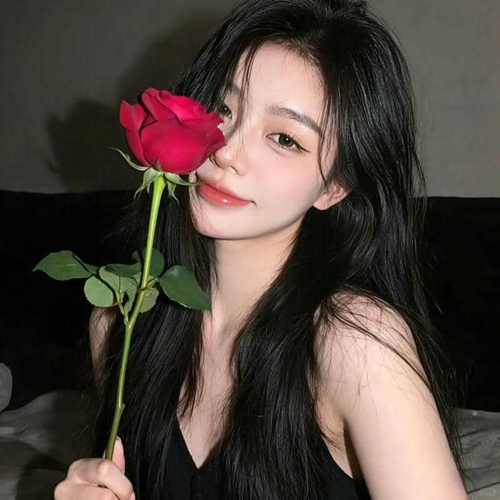 avatar hoa hồng (23)