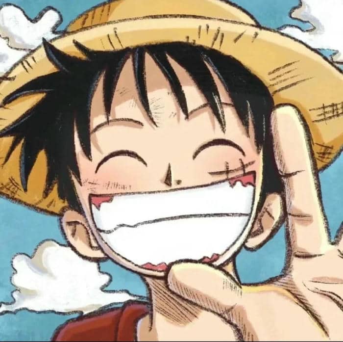 avatar luffy cute