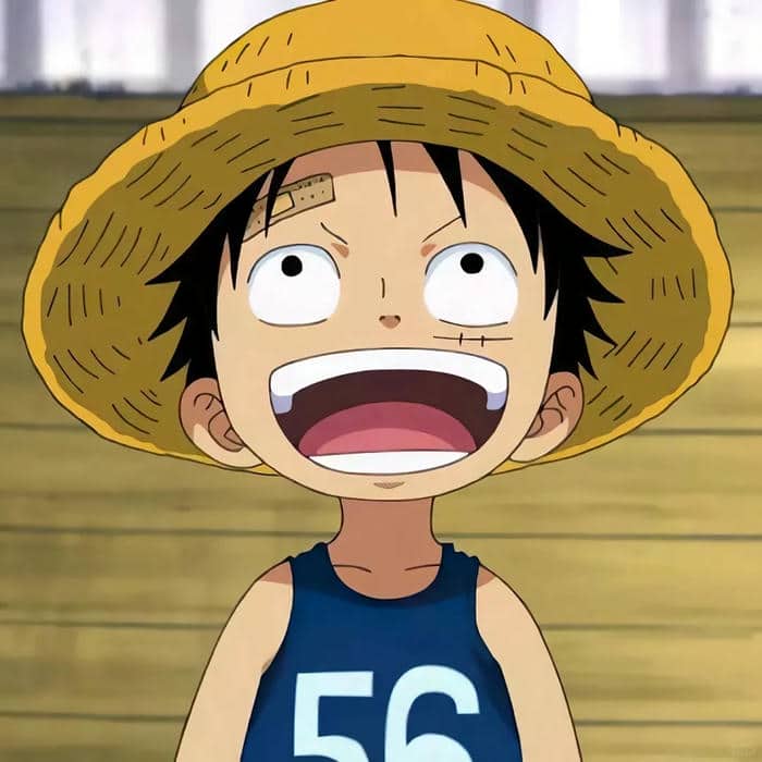 avatar luffy