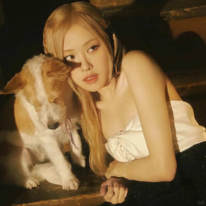 avatar rose (18)