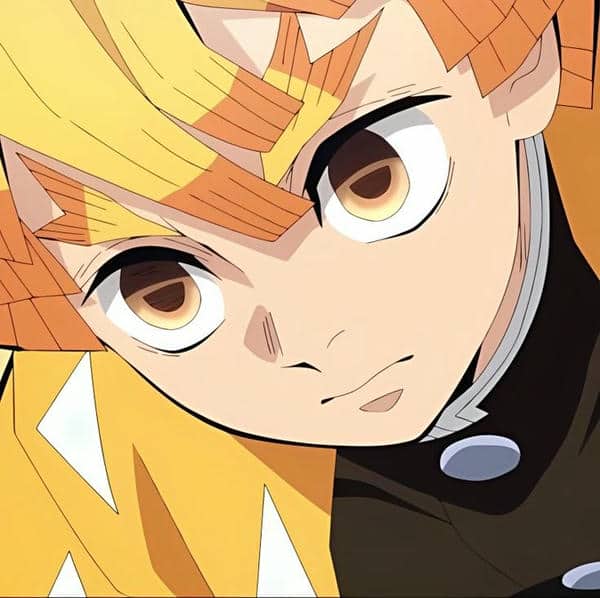 avatar zenitsu (31)