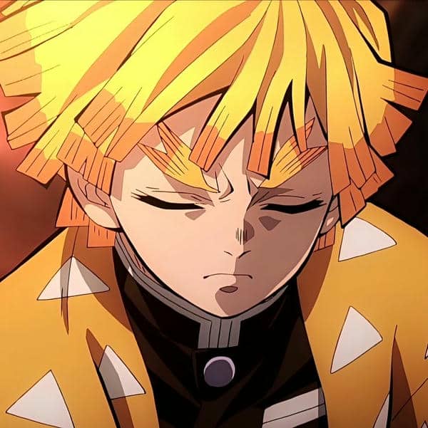 avatar zenitsu (34)