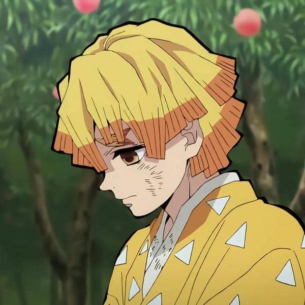 avatar zenitsu (40)