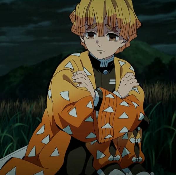 avatar zenitsu (41)