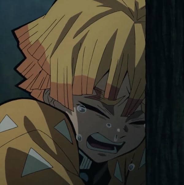 avatar zenitsu (42)