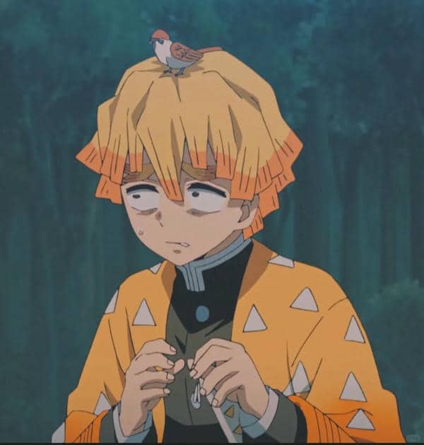 avatar zenitsu (8)