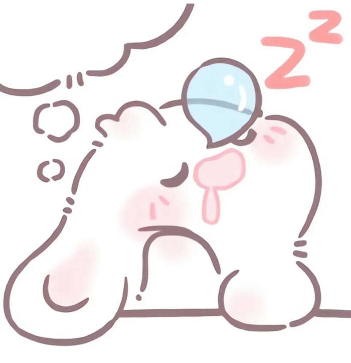 con thỏ cute