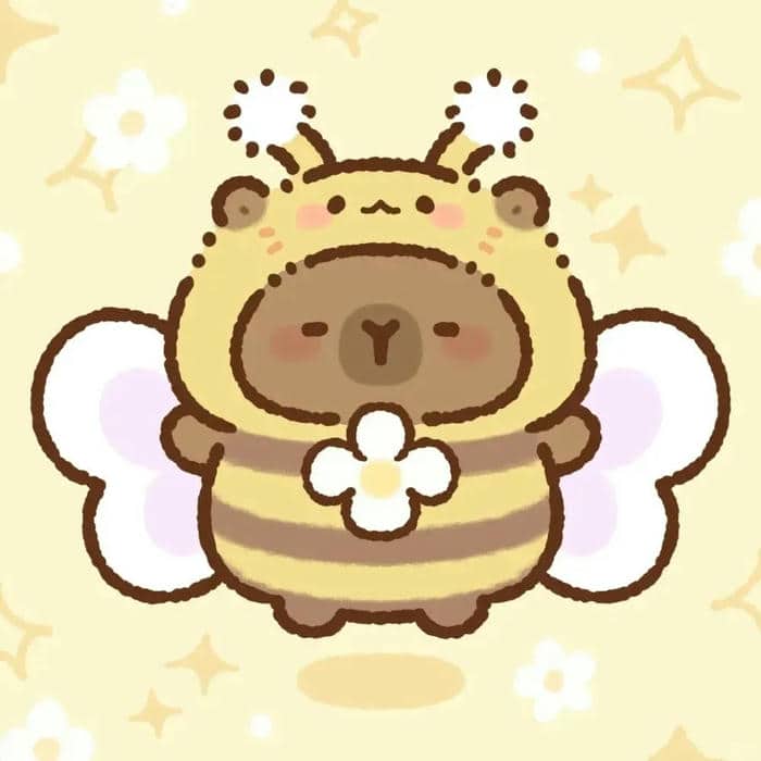 hình ảnh avatar capybara cute