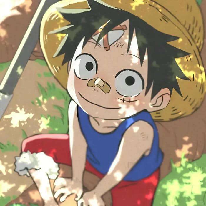 hình ảnh avatar luffy cute