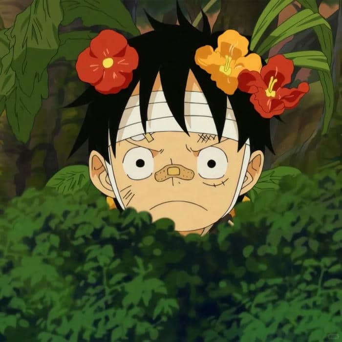 hình ảnh avatar luffy