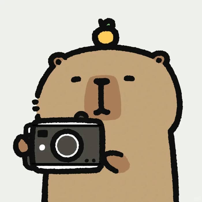 hình ảnh capybara avatar