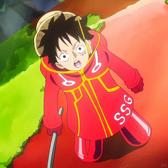 hình ảnh đại diện luffy