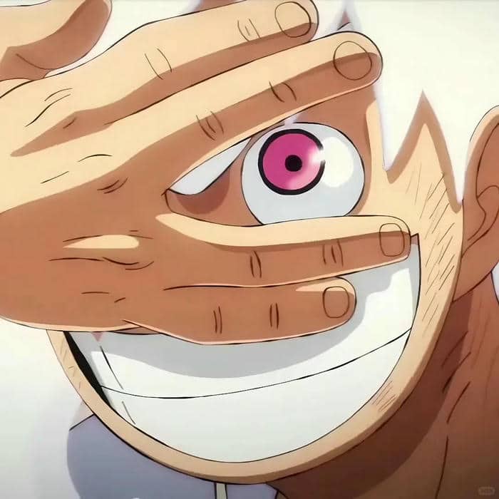 hình avatar anime luffy