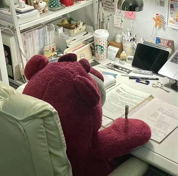 hình avatar gấu cute
