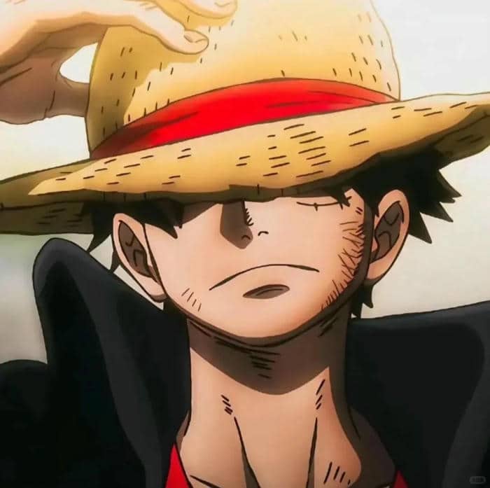 hình avatar one piece