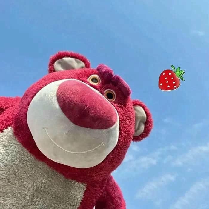 hình con gấu dâu