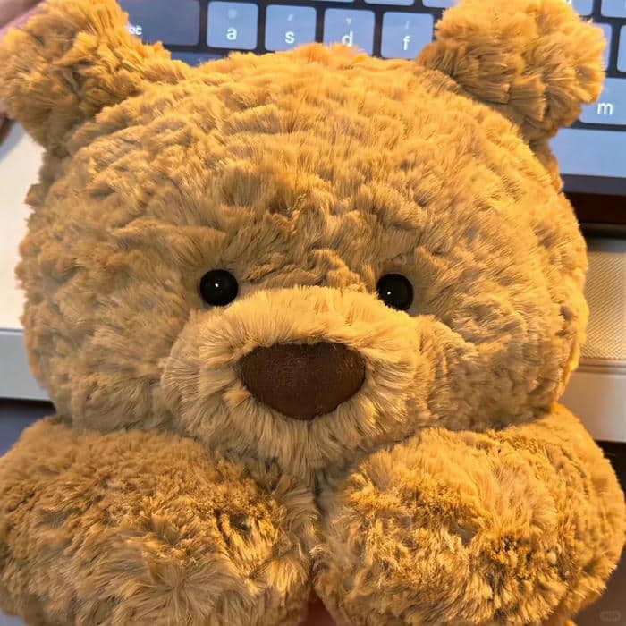 hình nền gấu cute
