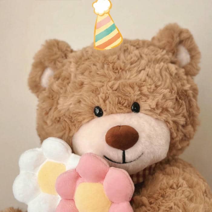 hình nền gấu trắng cute