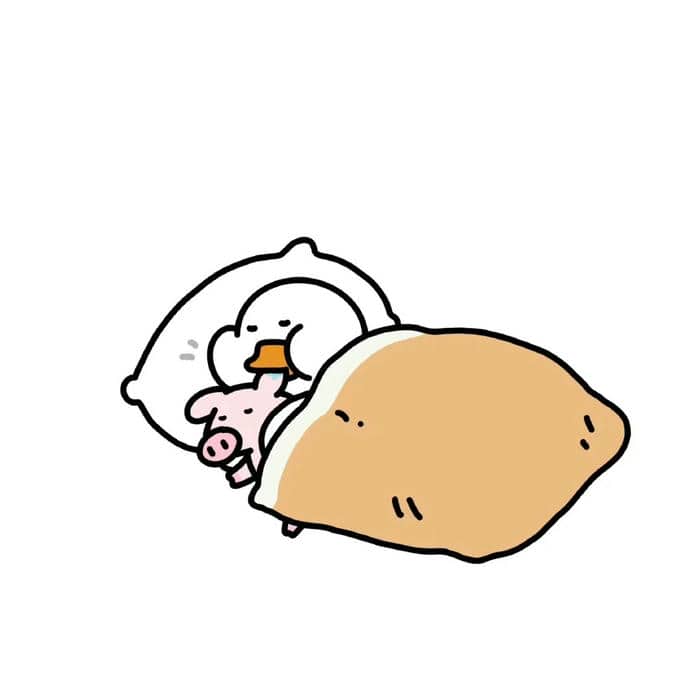 hình nền vịt cute