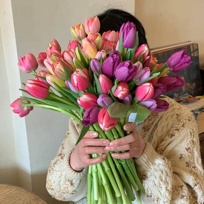 nền điện ảnh hoa tulip