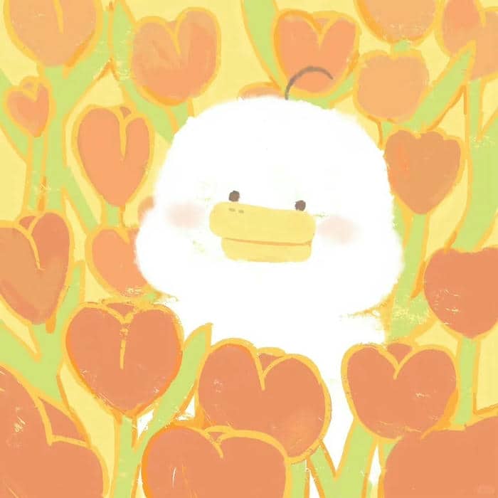 vịt cute
